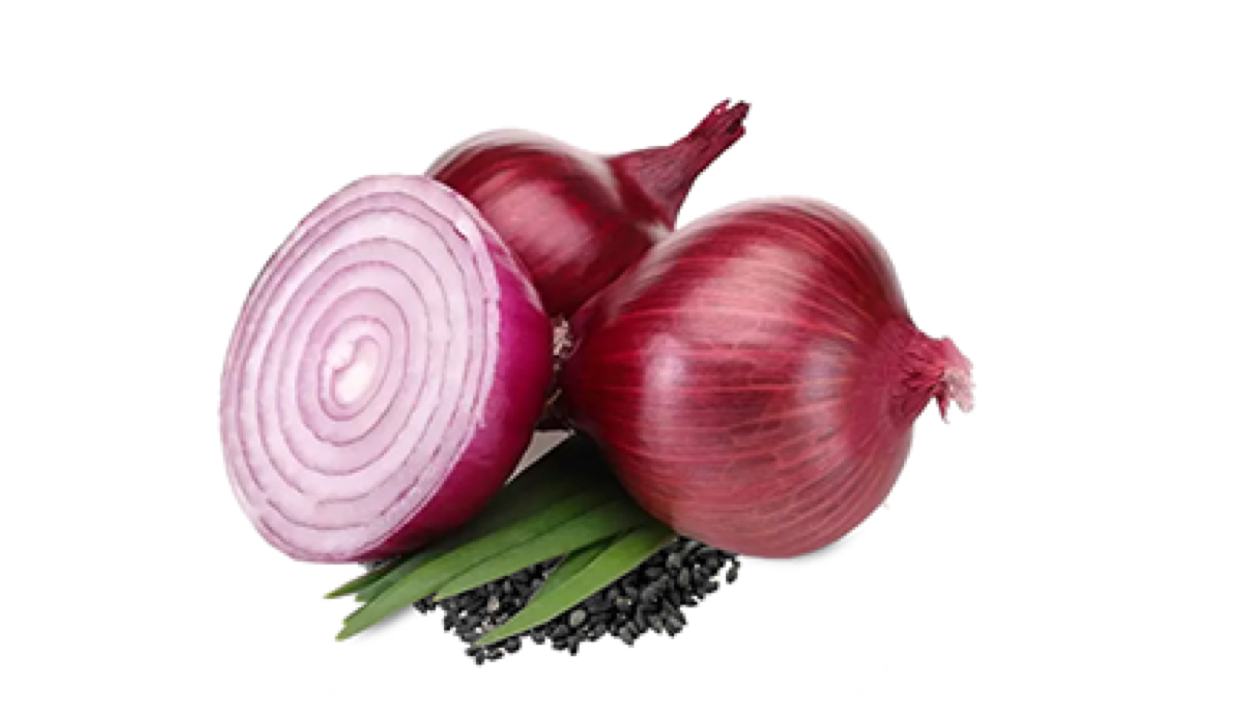 Onion Seed (Allium Cepa) 