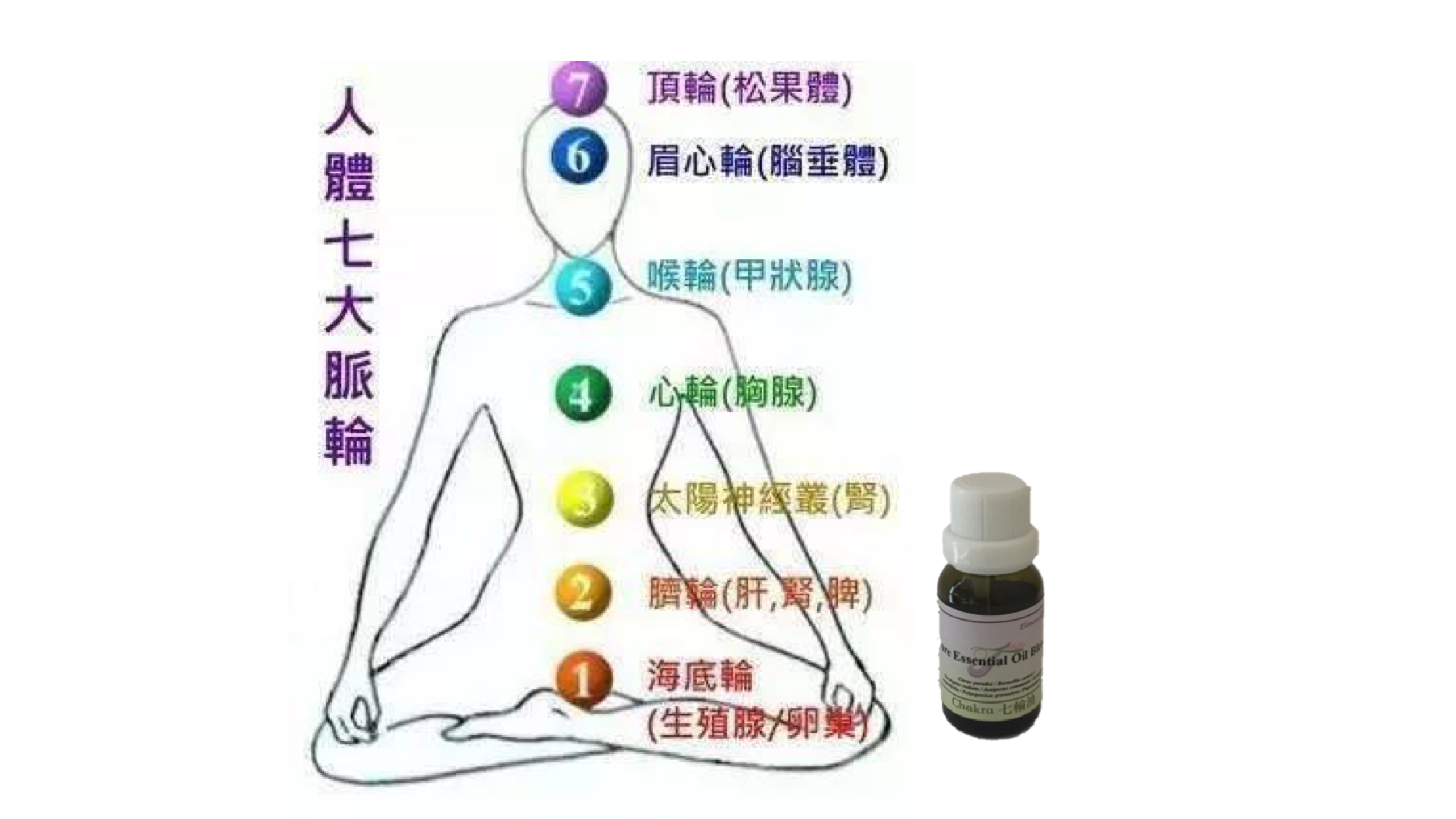 Chakra (Blended Essential Oil)