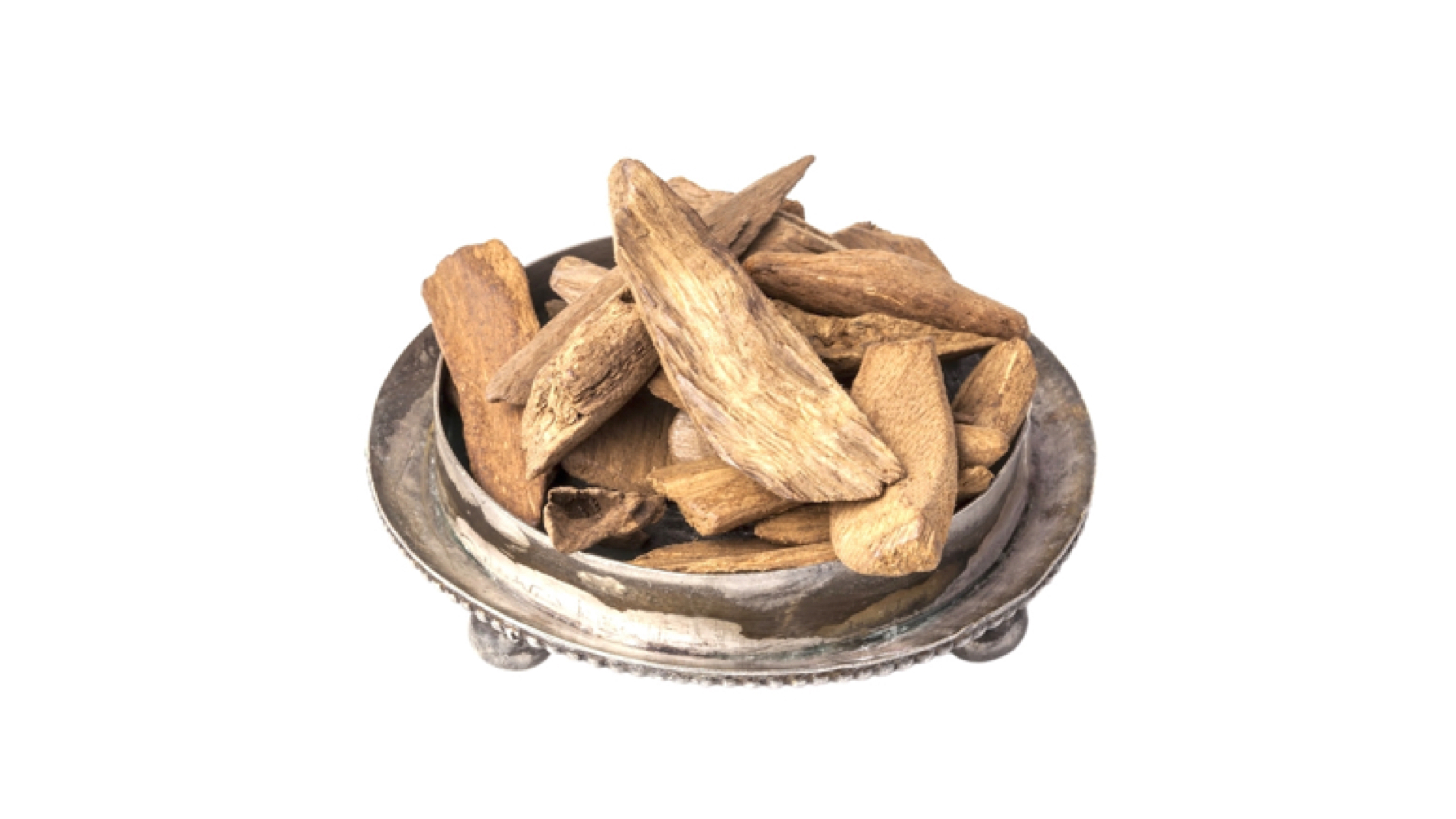Agarwood (Aquilaria agallocha) 